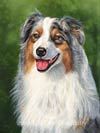 Dachshund Dog Art Picture