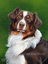 Dachshund Dog Art Picture