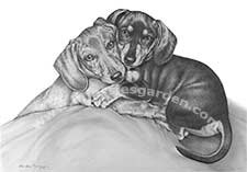 Dachshund Art