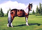 Pinto Horse Art