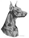 Doberman Pinscher Dog Art