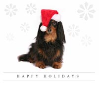 Dachshund Art