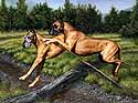 Great Dane Dog Art