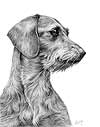 Longhaired Dachshund Black and Tan Dog Art